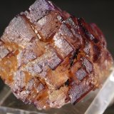 Fluorita
4x3,5 cm
(Autor: minero1968)