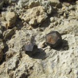 limonita
1 cm
(Autor: Miguel Ángel Martinez)