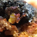 Wulfenita
campo de visión 1 cm
(Autor: Emilio Téllez)