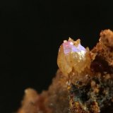 Wulfenita
campo de visión 1 cm x 1 cm
(Autor: Emilio Téllez)