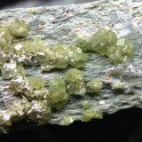 Andradita (variedad demantoide) (grupo Granate)
80mm - 68mm - 29mm / cristales de 3mm
(Autor: Pedro Naranjo)