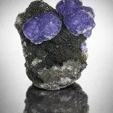 Fluorita y Moscovita.
6,5x5,5cm.
(Autor: castrominerals)