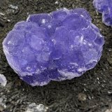 Fluorita y Moscovita
(Autor: castrominerals)