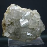Fluorapatito (Grupo Apatito)
40mm - 33mm - 24mm
(Autor: Pedro Naranjo)