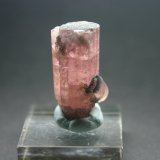 Elbaita (Grupo Turmalina) (variedad rubelita)
17mm - 14mm - 31mm
(Autor: Pedro Naranjo)