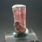 Elbaita (Grupo Turmalina) (variedad rubelita)
17mm - 14mm - 31mm
(Autor: Pedro Naranjo)