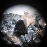 Gahnita
Cristal de 3 mm. aprox.
(Autor: Carles Rubio)