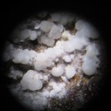 Fluorapatito (var. Carbonato-fluorapatito)
Esferas de 1 mm. aprox.
(Autor: Carles Rubio)