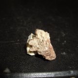Aragonito
2.5 x 1.5 x 1 cm
(Autor: Toño P)