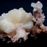 Estilbita-Ca
12cm por 12cm
(Autor: canada)