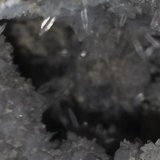 Celestina
Detalle de la pieza anterior
(Autor: Javier Garcia Canals)