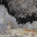 Celestina
Detalle de la pieza anterior
(Autor: Javier Garcia Canals)