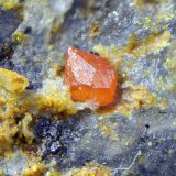 Vanadinita
Cristal de 0,7 mm.
(Autor: Antonio Carmona)