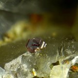 Calderonita
Campo de visión de 2,5 mm
(Autor: Antonio Carmona)