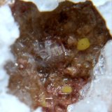 Kleinita
< 1 mm
(Autor: José Luis Zamora)