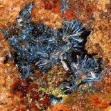 Clinoclasa
campo de 1,5 cm.
(Autor: Adrian Pesudo)