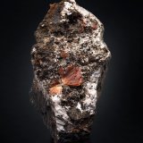 Labuntsovita-Mn con Albita y Natrolita
8 x 13 x 8 cm / cristal principal: 2 cm
(Autor: Museo MIM)