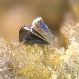 Tetraedrita.
Campo de visión de 2 mm.
(Autor: Antonio Carmona)