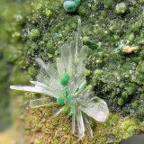 Hemimorfita, duftita y rosasita.
Campo de visión 4 mm.
(Autor: Antonio Carmona)