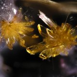 Laueita
FOV 1 mm
(Autor: Cesar M. Salvan)