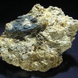 Lazulita
Pieza con matriz: 14 x 11,5 cm. Lazulita 6 x 2,5 cm.
(Autor: Frederic Varela)