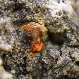 Plata
Campo de visión de 2 mm
(Autor: Antonio Carmona)