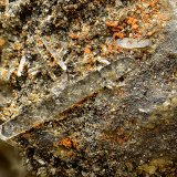 Anglesita
Cristal mayor de 3 mm.
(Autor: Antonio Carmona)