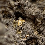 Oro
Campo de visión de 2 mm
(Autor: Antonio Carmona)