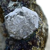 Calcosina sobre Calcopirita recubierta de Bornita
Cristal de 11 mm
(Autor: Antonio Carmona)