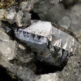 Calcosina
Cristal de 5 mm
(Autor: Antonio Carmona)