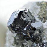 Calcosina
Cristal de 5 mm
(Autor: Antonio Carmona)