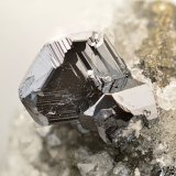 Calcosina
Cristal de 5 mm
(Autor: Antonio Carmona)