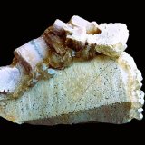 Mica (variedad lepidolita), Cuarzo
Virgem da Lapa, Vale do Jequitinhonha, Minas Gerais, Brasil
7 x 6 cm,
(Autor: javier ruiz martin)