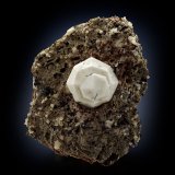 Leucita
7 x 5.5 x 5 cm / cristal principal: 2 cm
(Autor: Museo MIM)