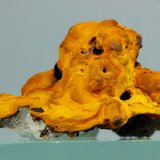 Limonita
40x25x25 mm
(Autor: Juan Espino)