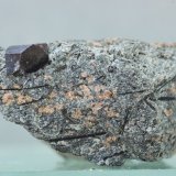 Lorenzenita
32x16 mm
(Autor: Juan Espino)