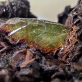 Ludlamita
6mm (cristal)
(Autor: srm13151)