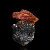 Ludlockita con Siderita
Mina Tsumeb, Tsumeb, Región Otjikoto, Namibia
4.5 x 3.5 x 4 cm / Cristal principal: 3.3 cm
(Autor: Museo mim)