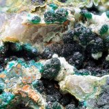 Pseudomalaquita
Campo de visión de 12 mm
(Autor: Antonio Carmona)