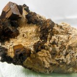 limonita pseudomórfica Pirita
60x30x15 mm
(Autor: Luis Ramón Coves)