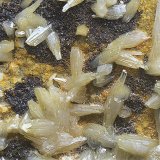Vanadinita, descloizita y Calderonita
Campo de visión de 5 mm.
(Autor: Antonio Carmona)