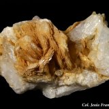 Magnesita.
28x16 mm.
(Autor: Jesus Franquesa Baucells)