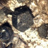 Magnesita
38 x 27 x 16 mm.
(Autor: José Luis Zamora)