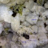 Magnetita.
0´928 x 0´637 mm.
(Autor: Jesus Franquesa Baucells)