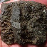 Magnetita
Cabezo Gordo, Torre-Pacheco, Comarca Campo de Cartagena, Región de Murcia (Murcia), España
7.5 x 7 cm
(Autor: Matias Raja)
