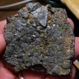 Magnetita
San Pablo de los Montes, Comarca Montes de Toledo, Toledo, Castilla-La Mancha, España
7 x 5 cm
(Autor: Matias Raja)