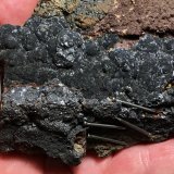 Magnetita
Corta San Valentín, Sancti Espíritu, Sierra Minera de Cartagena-La Unión, La Unión, Comarca Campo de Cartagena, Región de Murcia (Murcia), España
10 x 9 cm
(Autor: Matias Raja)