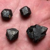 Magnetita
Ulea, Comarca Valle de Ricote, Región de Murcia (Murcia), España
Entre 1.5 y 2.4 cm diámetro
(Autor: Matias Raja)