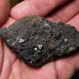 Magnetita
Cabecico del Rey, Valladolises, Murcia, Comarca Huerta de Murcia, Región de Murcia (Murcia), España
8 x 5 cm
(Autor: Matias Raja)