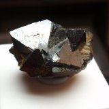 Magnetita
25x15 mm
(Autor: Ignacio)
